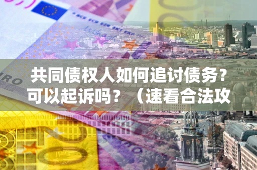 北京共同债权人如何追讨债务？可以起诉吗？（速看合法攻略）